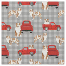 Red Merle Aussie och Red lastbil plaid