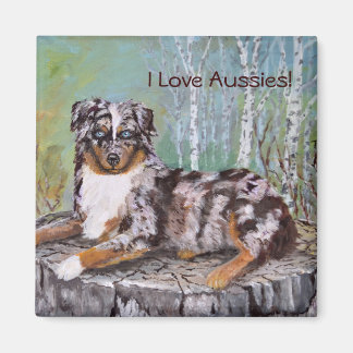 Red Merle Aussie - Vacker Flower Magnet