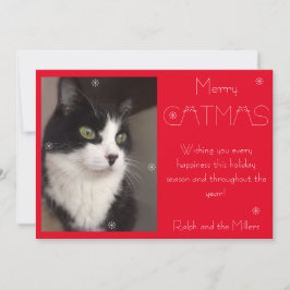 Red Merry Catmas Cat Pet Photo Julkort