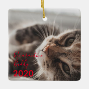 Red Merry Pawsmas Quarantine Buddy Kat jul Julgransprydnad Keramik