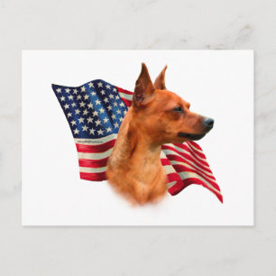 Red Miniature Pinscher American Flagga; Min Pin Fl Vykort