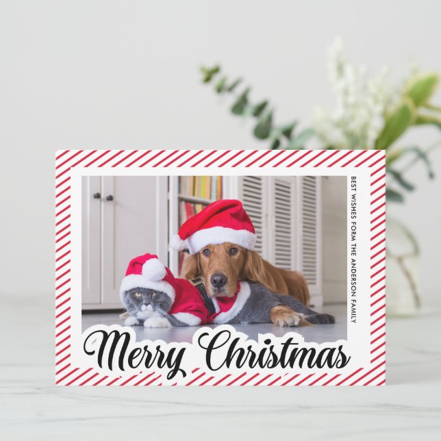 Red Modern Calligraphy Pet Photo God jul Julkort (Stående Fram)