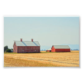 Red Montana Barns Fototryck