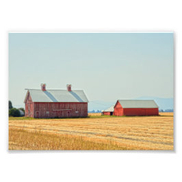Red Montana Barns Fototryck