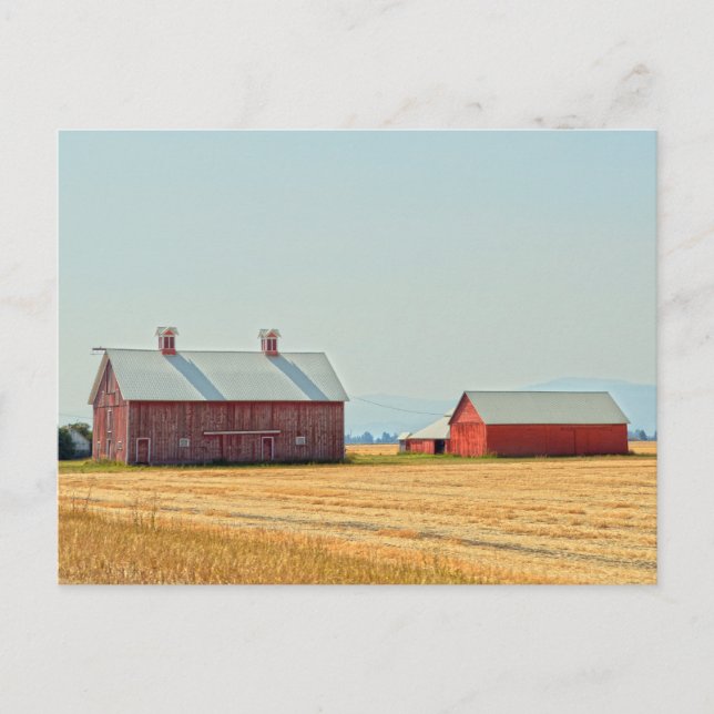 Red Montana Barns Vykort (Framsida)