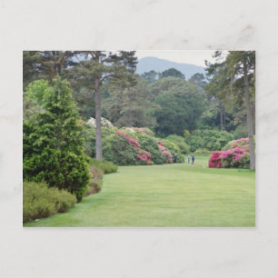 Red Muckross House Gardens, Irland blommor Vykort