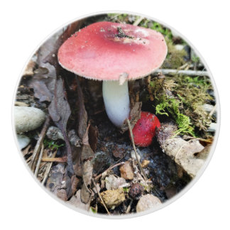 Red Mushroom Fairy Ceramic Knob Knopp