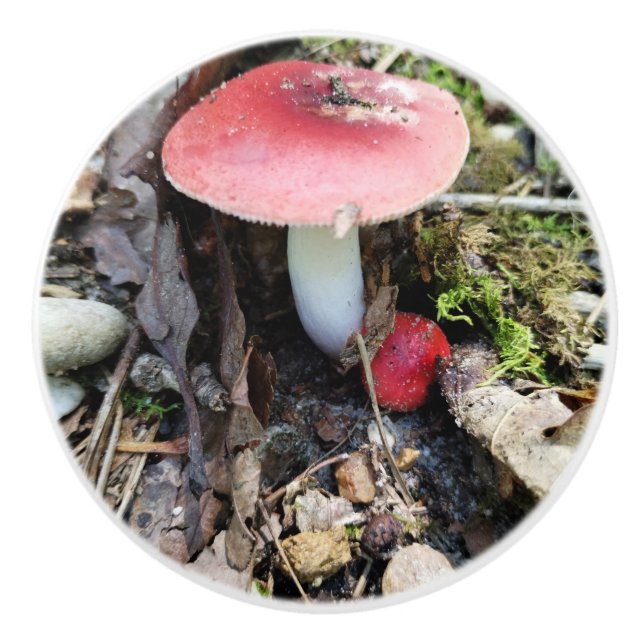 Red Mushroom Fairy Ceramic Knob Knopp (Framsidan)