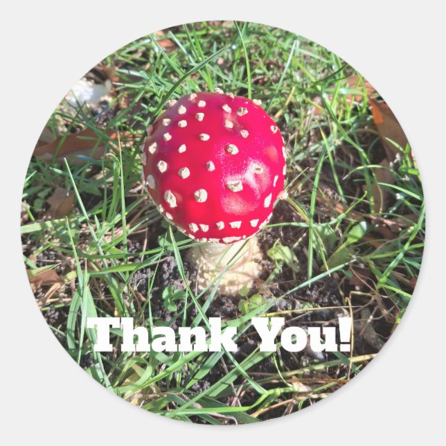 Red mushroom  runt klistermärke (Framsida)