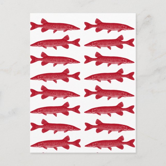 Red Muskie Vykort (Framsida)