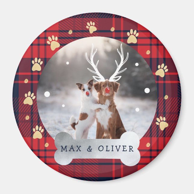 Red & Navy Blue Play & Guld Paw Print Pet Photo Magnet (Framsidan)