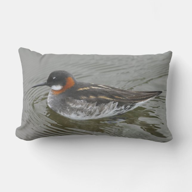 Red-Necked Phalarope Cushion by RoseWrites Lumbarkudde (Framsida)