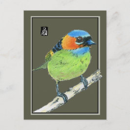 Red-Necked Tanager Bird Vykort