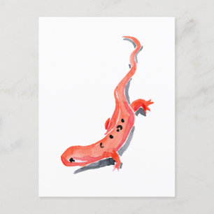 Red Newt Vykort
