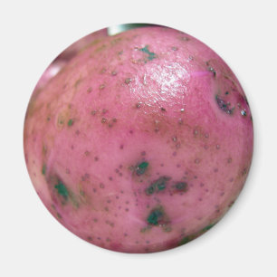 Red Norland-potatis Magnet