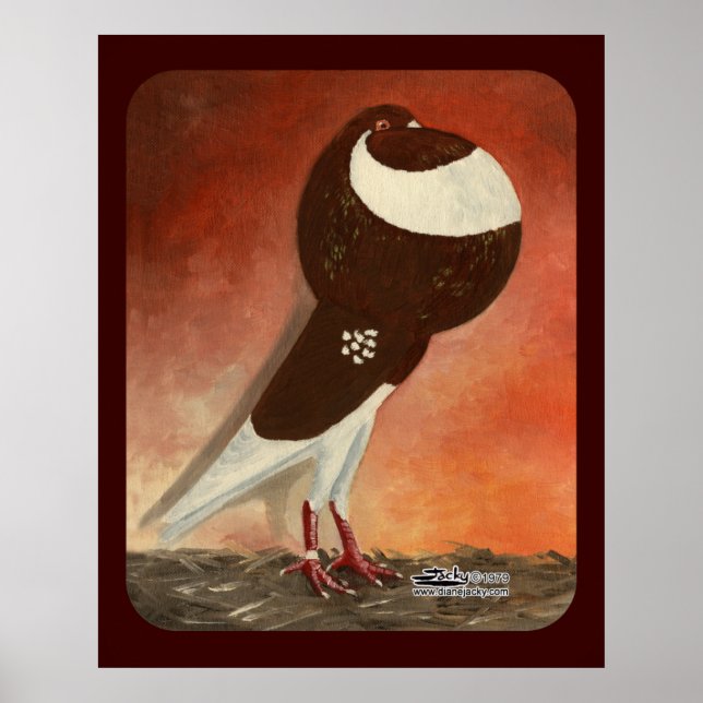 Red Norwich Cropper Pigeon Poster (Framsidan)