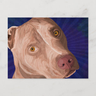 Red Nose Pit Bull med blå bakgrund Vykort