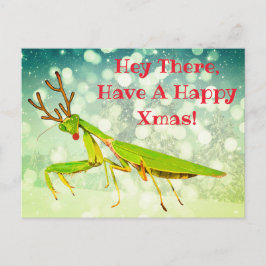 Red Nposed Praying Mantis Konstig julvykort Vykort