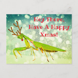Red Nposed Praying Mantis Konstig julvykort Vykort