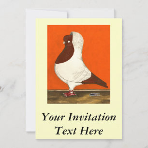 Red Nun Pigeon Inbjudningar