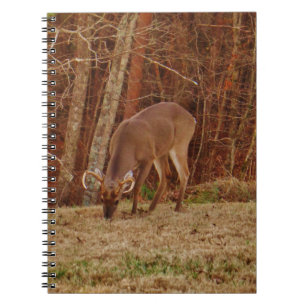 Red Oak Camouflage Stag Buck Hjort Matande Anteckningsbok Med Spiral