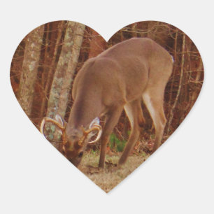 Red Oak Camouflage Stag Buck Hjort Matande Hjärtformat Klistermärke