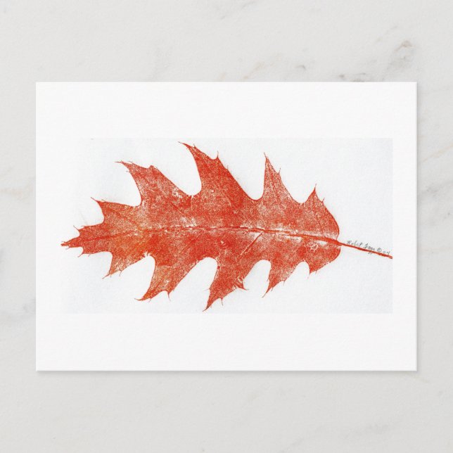 "Red Oak Löv #2" vykort för Land-vägar (Framsida)