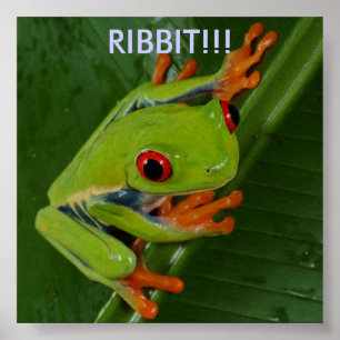 Red-Öga-Träd-Frog, RIBBIT!!!!! Poster