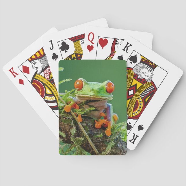 Red Öga Träd Frog vid gren Casinokort (Baksidan)