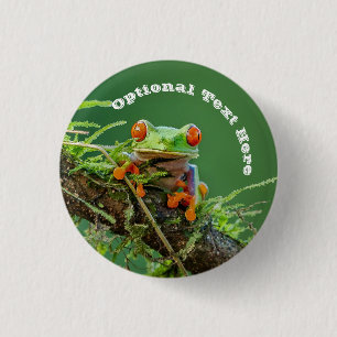 Red Öga Träd Frog vid gren Knapp