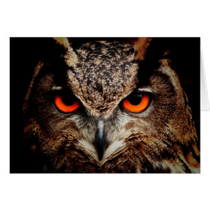 Red Ögon Eagle Uggla Hälsningskort