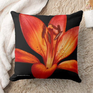 Red Orange Asiatic Lilies Gran Paradiso Kudde
