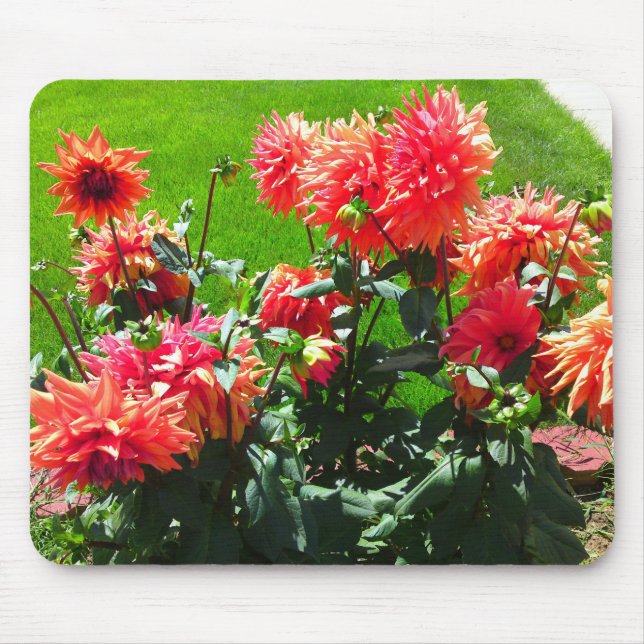 Red Orange Dhalia Mouse Pad Musmatta (Framsidan)