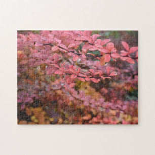 Red Orange Fall Foliage Höst löv Nature Photo Pussel