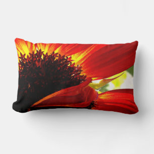 Red Orange Gerbera Daisy Photo Bold Modern Snyggt Lumbarkudde