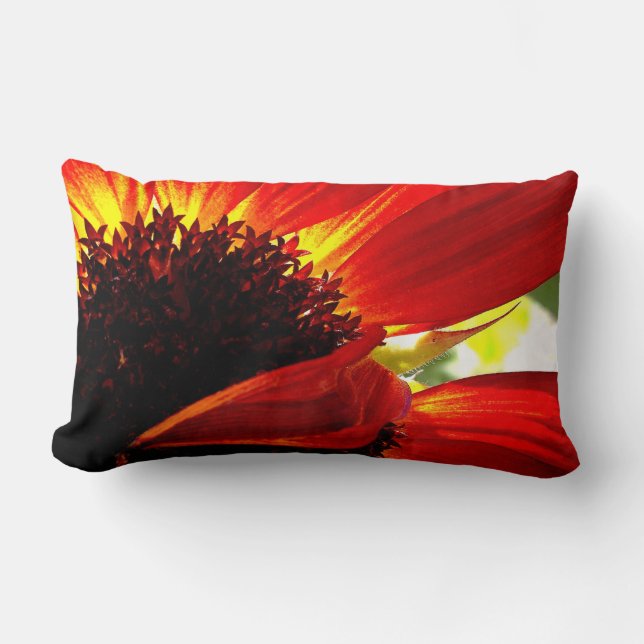 Red Orange Gerbera Daisy Photo Bold Modern Snyggt Lumbarkudde (Framsida)