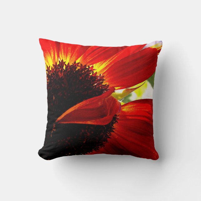 Red Orange Gerbera Daisy Photo Modern Bold Snyggt Kudde (Framsida)