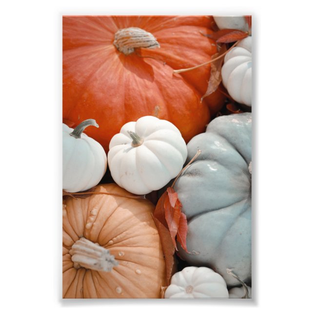 Red Orange White Blue Pumpkins Fototryck (Framsidan)