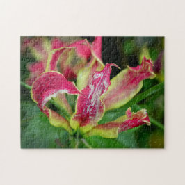 Red Orchid Flower blooming aesthetic Photo - Pussel