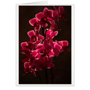 Red Orchid Flower Hälsningskort