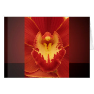 Red Orchid Hälsningskort
