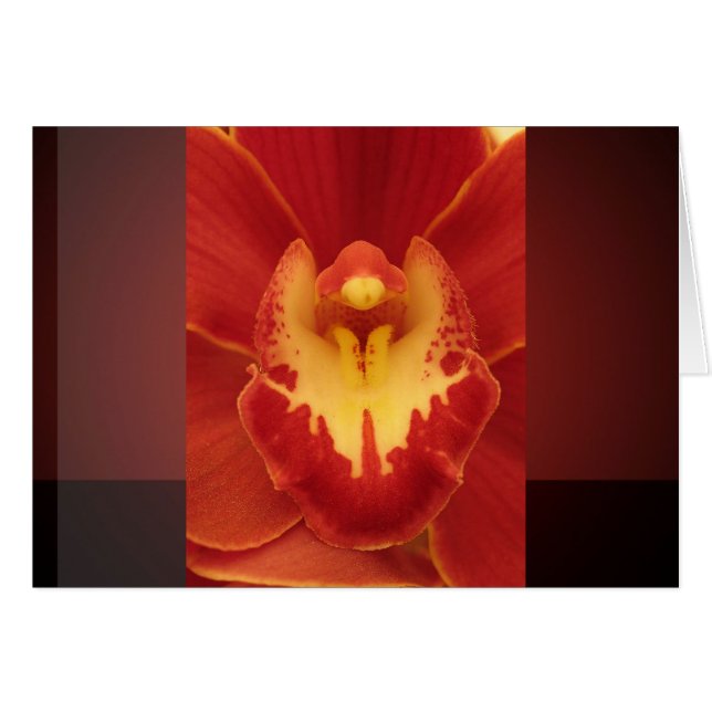 Red Orchid Hälsningskort (Framsidan Horizontal)