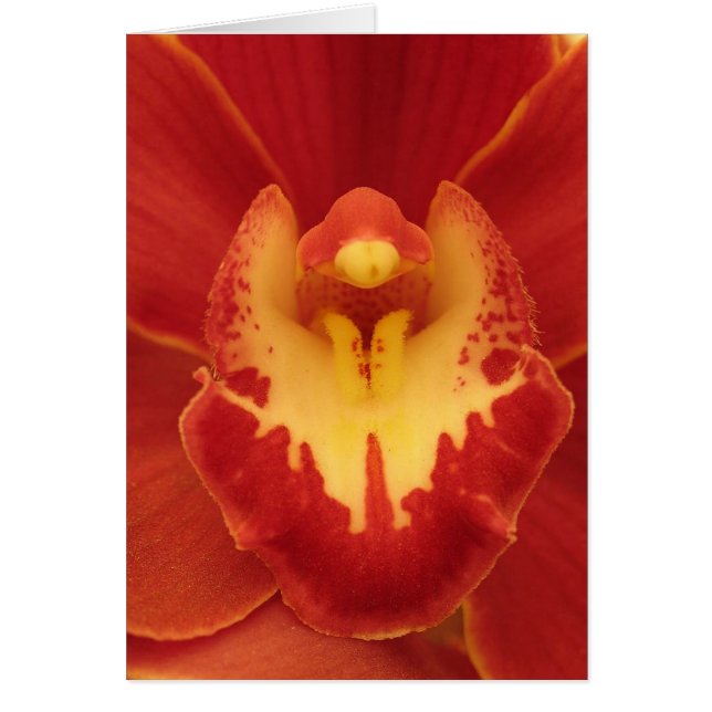 Red Orchid Hälsningskort (Framsidan)