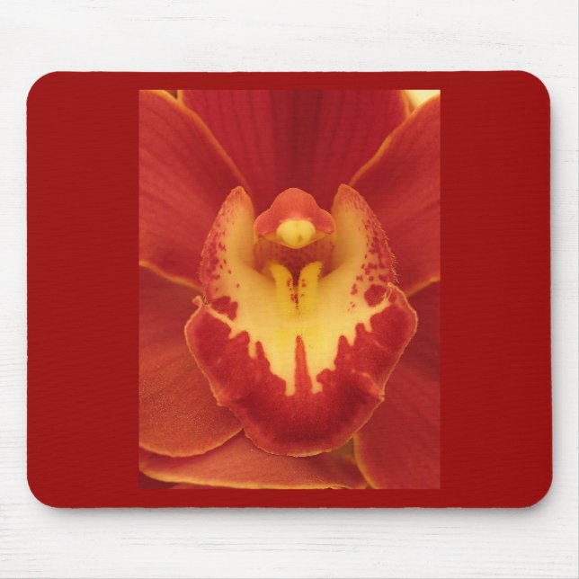 Red Orchid Musmatta (Framsidan)
