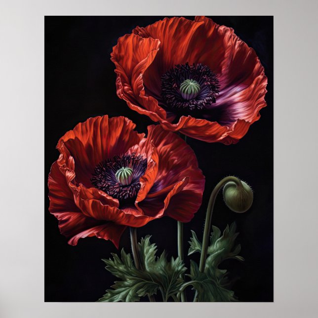 Red Oriental Poppy Flowers Art Skriv ut Poster (Framsidan)