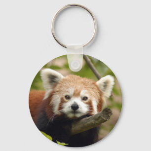 red-panda-004 nyckelring