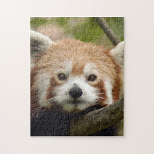 red-panda-010 pussel