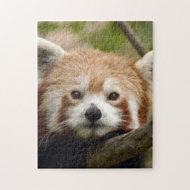 red-panda-010 pussel (Vertikal)