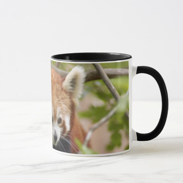 red-panda-023 mugg (Höger)