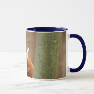 red-panda-026 mugg